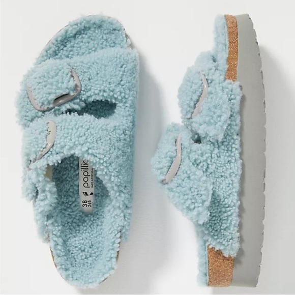 papillio arizona teddy